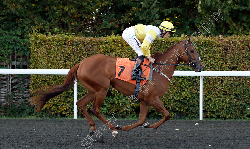 Little-India-0001 
 LITTLE INDIA (Clifford Lee)
Kempton 18 Sep 2018 - Pic Steven Cargill / Racingfotos.com