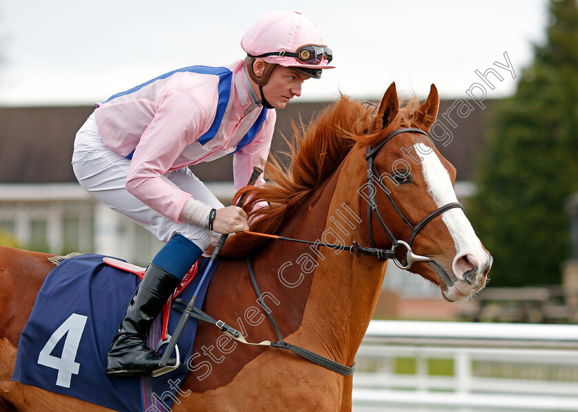 Glorious-Return-0001 
 GLORIOUS RETURN (Rob Hornby)
Lingfield 4 Jan 2020 - Pic Steven Cargill / Racingfotos.com