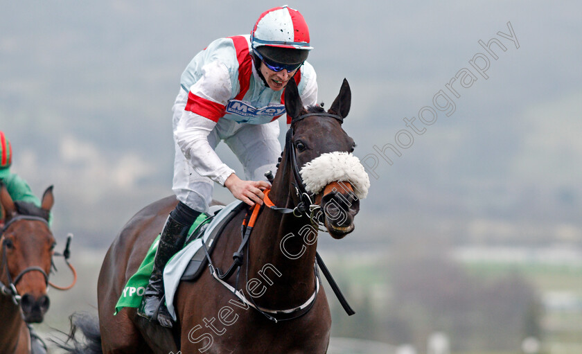 Skandiburg-0005 
 SKANDIBURG (Gavin Sheehan) wins The Paddy Power 69 Sleeps To Cheltenham Handicap Hurdle
Cheltenham 1 Jan 2020 - Pic Steven Cargill / Racingfotos.com