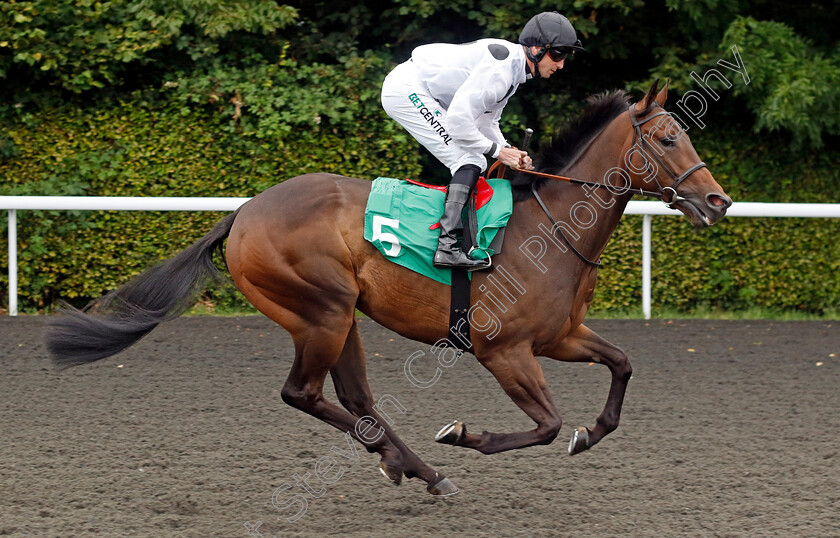 Harmoniser-0001 
 HARMONISER (Jack Mitchell)
Kempton 7 Aug 2024 - Pic Steven Cargill / Racingfotos.com