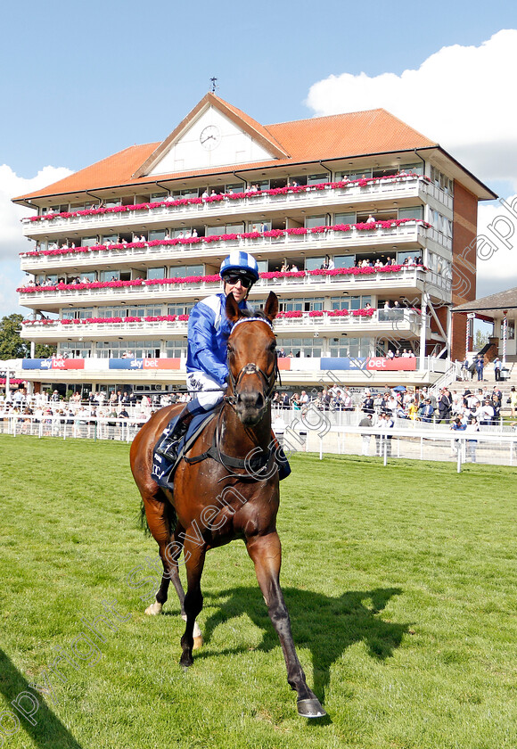 Battaash-0011 
 BATTAASH (Jim Crowley) after The Coolmore Nunthorpe Stakes
York 23 Aug 2019 - Pic Steven Cargill / Racingfotos.com