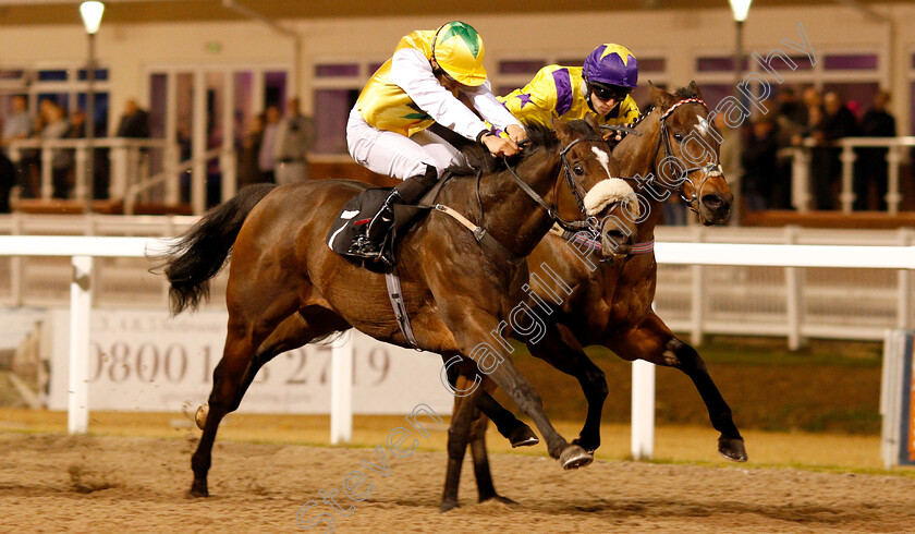 Pinnata-0005 
 PINNATA (left, Sean Levey) beats GLORY OF PARIS (right) in The Bet In Play At totesport.com Handicap
Chelmsford 29 Nov 2018 - Pic Steven Cargill / Racingfotos.com