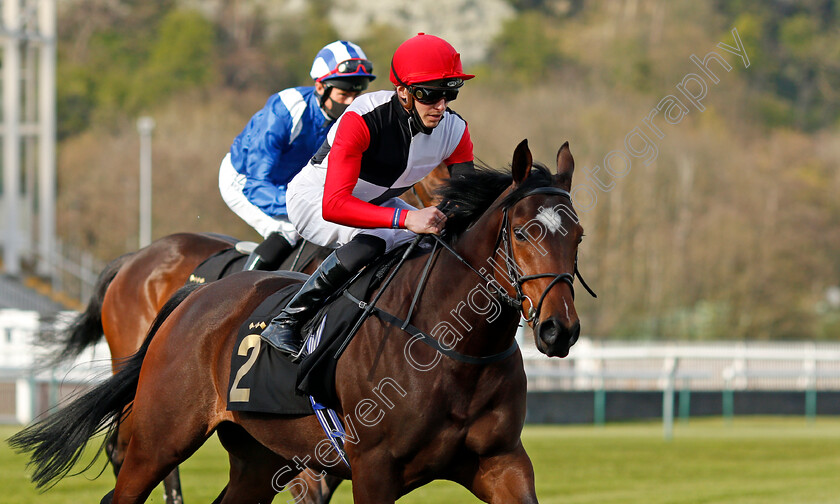 Immelmann-0001 
 IMMELMANN (James Doyle)
Nottingham 17 Apr 2021 - Pic Steven Cargill / Racingfotos.com