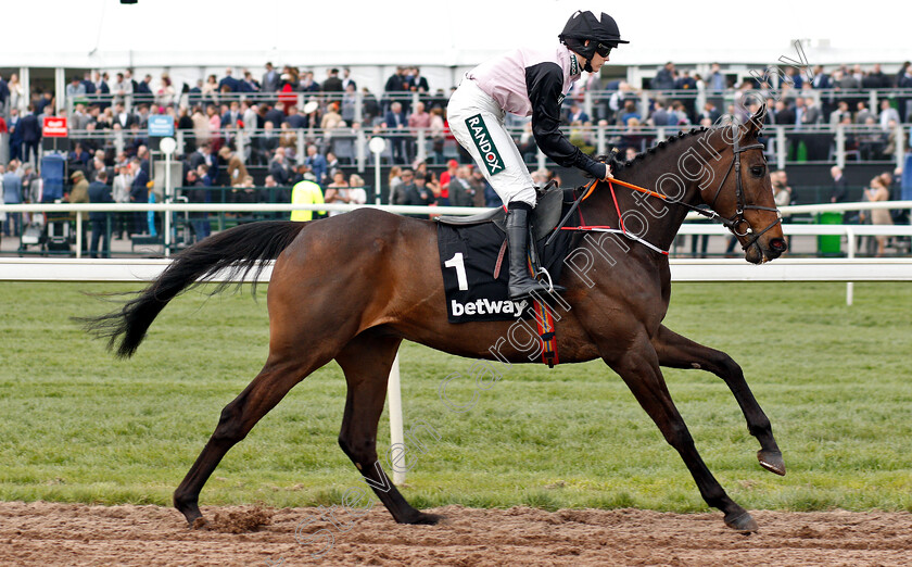 Chris s-Dream-0002 
 CHRIS'S DREAM (Rachael Blackmore)
Aintree 5 Apr 2019 - Pic Steven Cargill / Racingfotos.com