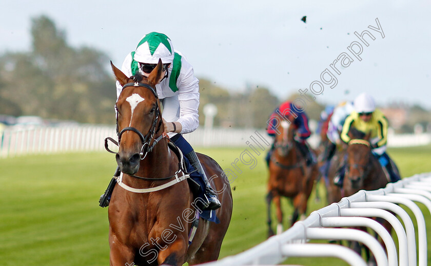 Green-Storm-0002 
 GREEN STORM (Billy Loughnane) wins The Get Raceday Ready Restricted Maiden Stakes
Yarmouth 17 Sep 2024 - Pic Steven Cargill / Racingfotos.com