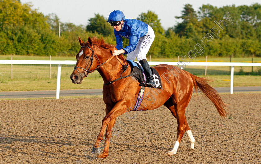 Ghaly-0001 
 GHALY (Pat Cosgrave)
Chelmsford 23 Jul 2019 - Pic Steven Cargill / Racingfotos.com