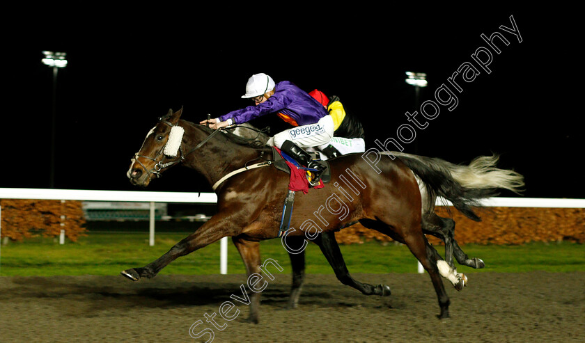 Viola-Park-0001 
 VIOLA PARK (David Probert) wins The Close Brothers Business Finance Handicap
Kempton 12 Dec 2018 - Pic Steven Cargill / Racingfotos.com