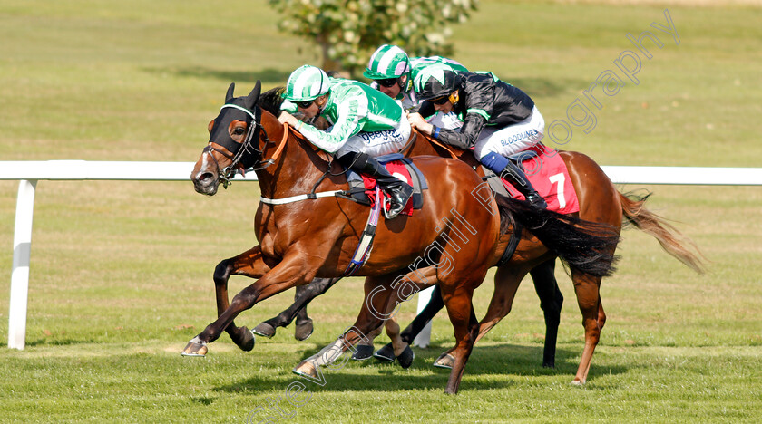 Port-Winston-0005 
 PORT WINSTON (David Probert) wins The Betway Nursery
Sandown 30 Aug 2019 - Pic Steven Cargill / Racingfotos.com