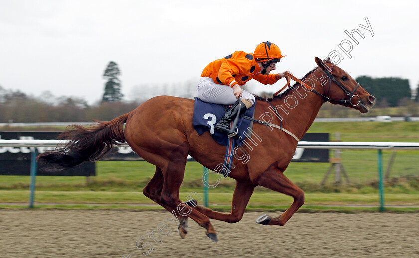 Varsovian-0005 
 VARSOVIAN (Jack Duern) wins The Play Jackpot Games At sunbets.co.uk/vegas Handicap Div1 Lingfield 6 Dec 2017 - Pic Steven Cargill / Racingfotos.com