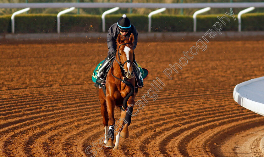 Derma-Sotogake-0003 
 DERMA SOTOGAKE training for The Saudi Cup
King Abdulaziz Racecourse, Saudi Arabia 20 Feb 2024 - Pic Steven Cargill / Racingfotos.com