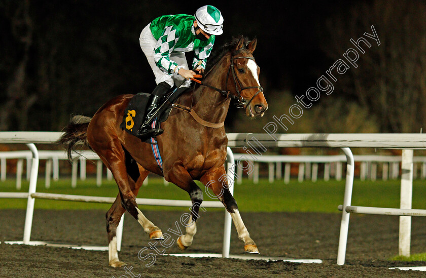 El-Salvaje-0001 
 EL SALVAJE (Callum Shepherd)
Kempton 3 Feb 2021 - Pic Steven Cargill / Racingfotos.com