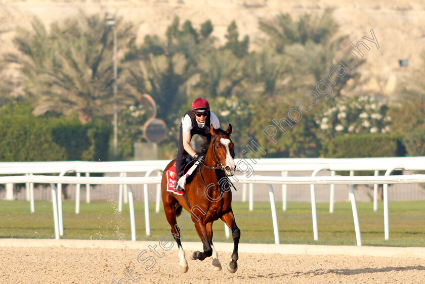 Point-Lonsdale-0009 
 POINT LONSDALE training for the Bahrain International Trophy
Kingdom of Bahrain 13 Nov 2024 - Pic Steven Cargill / Racingfotos.com