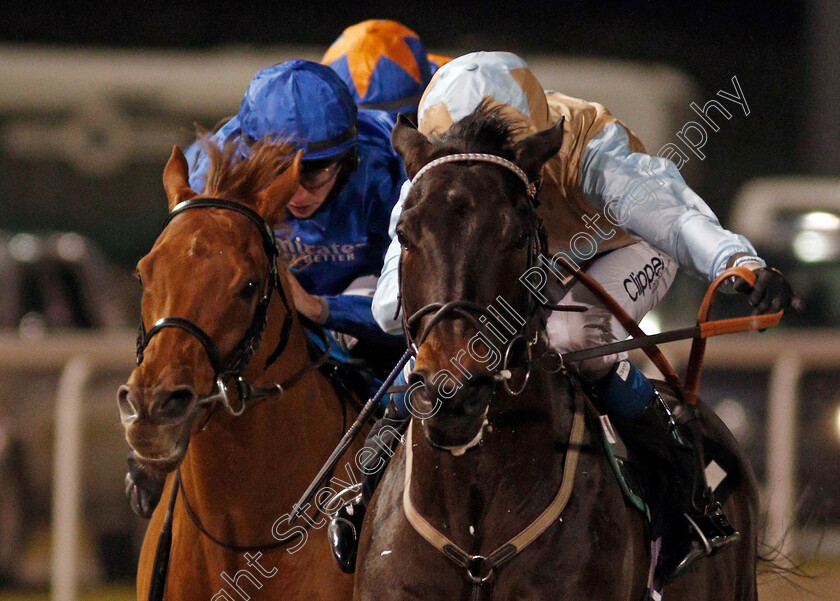 Variyann-0003 
 VARIYANN (Kieran Shoemark) wins The tote.co.uk Now Never Beaten By Sp Handicap
Chelmsford 22 Jan 2021 - Pic Steven Cargill / Racingfotos.com