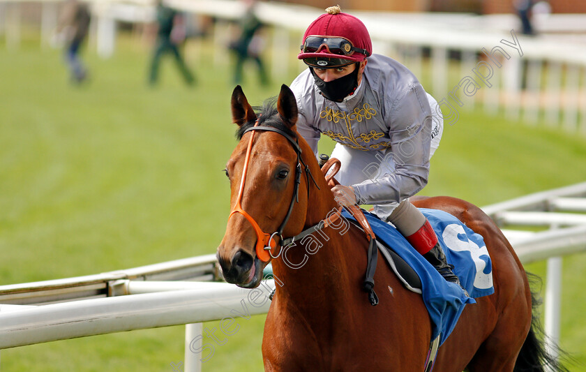 Lusail-0002 
 LUSAIL (Andrea Atzeni) winner of The Constant Security ebfstallions.com Maiden Stakes
York 13 May 2021 - Pic Steven Cargill / Racingfotos.com