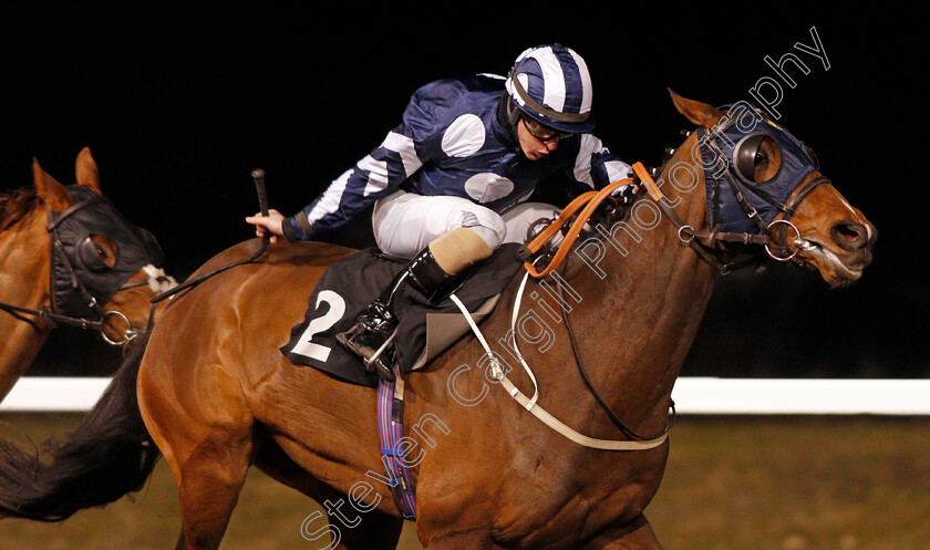 Thai-Terrier-0004 
 THAI TERRIER (Richard Kingscote) wins The chelmsfordcityracecourse Handicap
Chelmsford 22 Jan 2021 - Pic Steven Cargill / Racingfotos.com