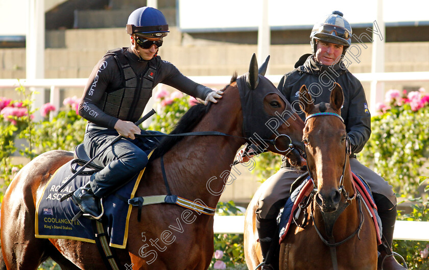 Coolangatta-0001 
 COOLANGATTA (James McDonald) preparing for Royal Ascot
Ascot 14 Jun 2023 - Pic Steven Cargill / Racingfotos.com