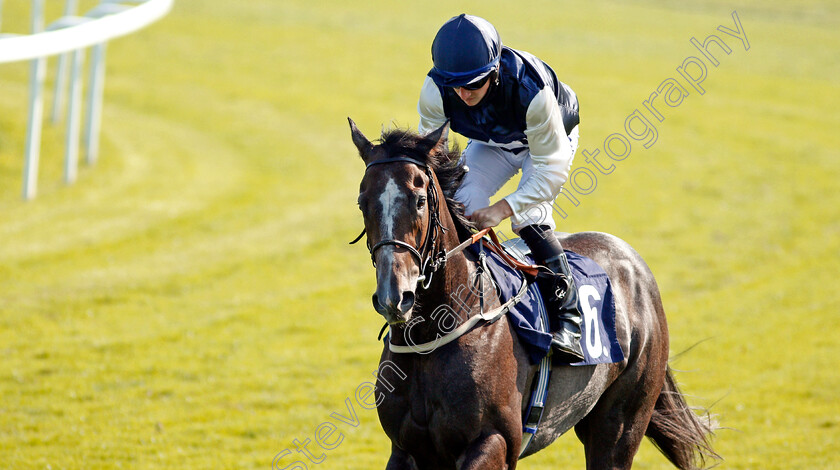 Obtuse-0001 
 OBTUSE (Tom Marquand)
Yarmouth 15 Sep 2020 - Pic Steven Cargill / Racingfotos.com