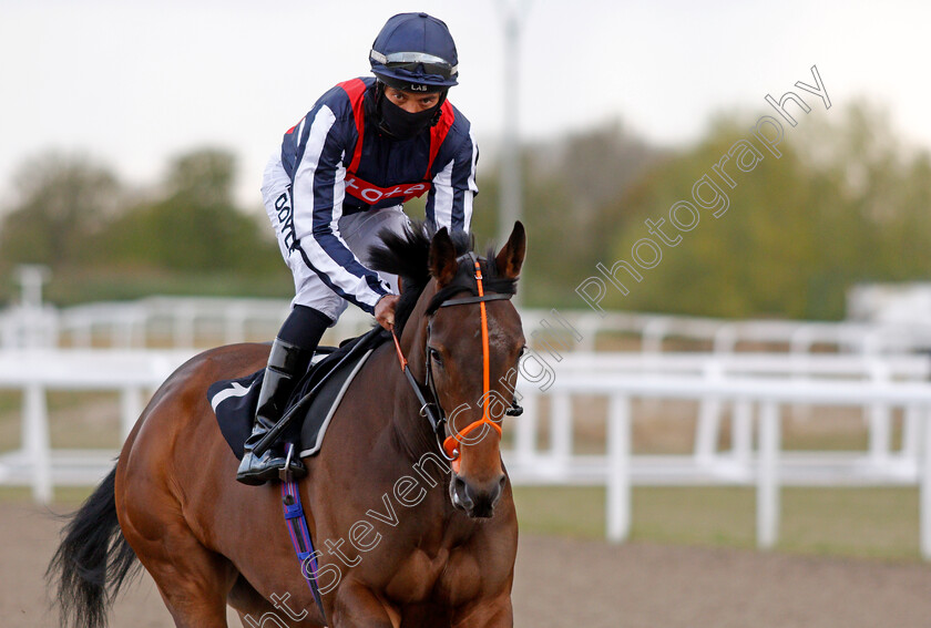 Happy-Romance-0003 
 HAPPY ROMANCE (Sean Levey) winner of The Chelmer Fillies Stakes
Chelmsford 29 Apr 2021 - Pic Steven Cargill / Racingfotos.com