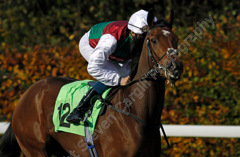 Borrowed-Angel-0001 
 BORROWED ANGEL (William Buick)
Kempton 11 Nov 2020 - Pic Steven Cargill / Racingfotos.com