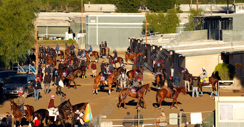 Breeders -Cup-0001 
 Horses waiting to train for The Breeders' Cup 
Santa Anita USA, 31 October 2023 - Pic Steven Cargill / Racingfotos.com