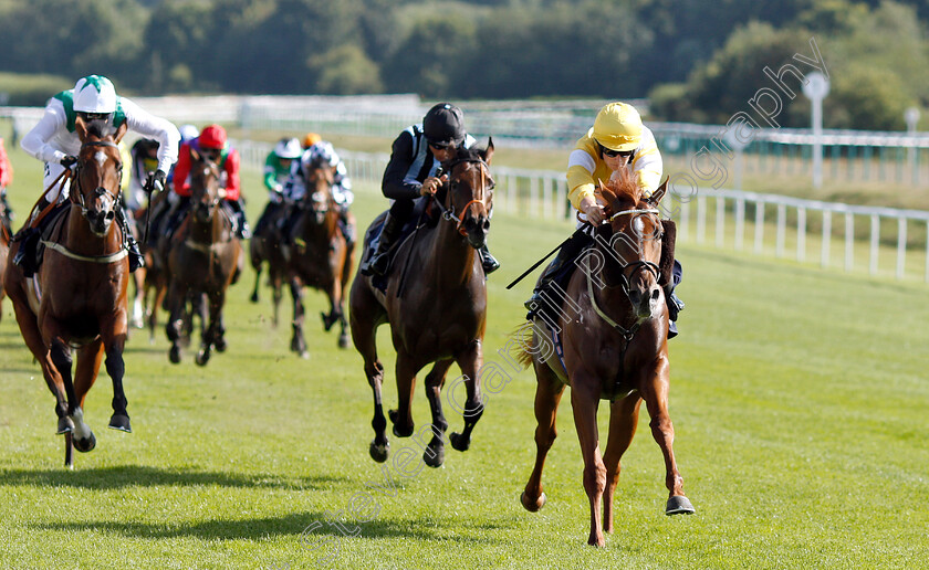 Space-Ace-0002 
 SPACE ACE (Adam McNamara) wins The Follow At The Races On Twitter Novice Auction Stakes
Lingfield 24 Jul 2019 - Pic Steven Cargill / Racingfotos.com