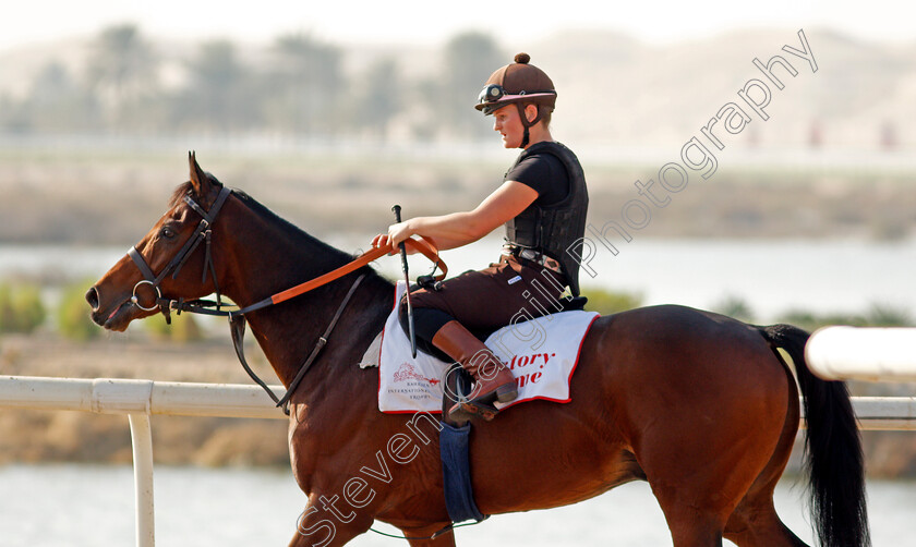 Victory-Chime-0006 
 VICTORY CHIME exercising in preparation for Friday's Bahrain International Trophy
Sakhir Racecourse, Bahrain 18 Nov 2021 - Pic Steven Cargill / Racingfotos.com