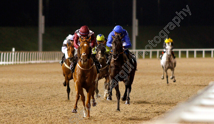 Cry-Wolf-0002 
 CRY WOLF (Rossa Ryan) wins The Redrow And Ehaat Handicap
Chelmsford 6 Sep 2018 - Pic Steven Cargill / Racingfotos.com