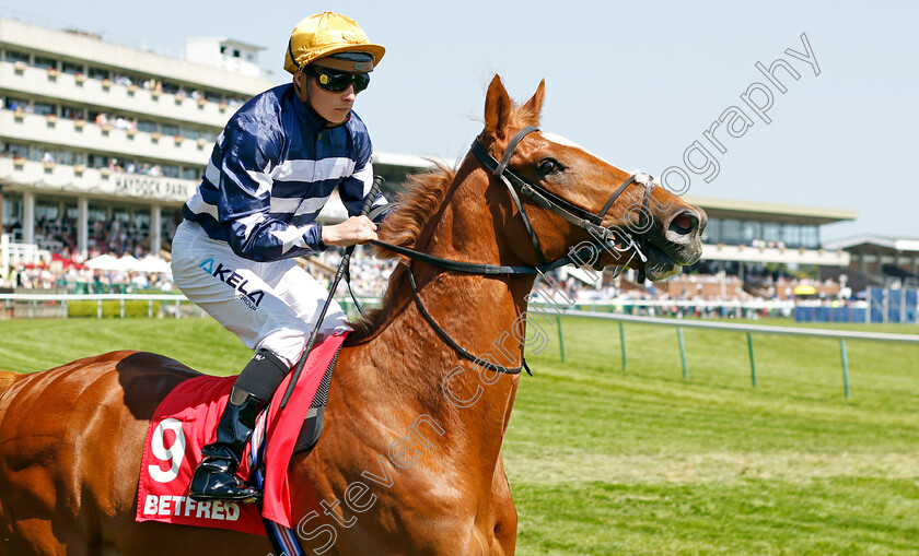 Defence-Of-Fort-0001 
 DEFENCE OF FORT (Jason Watson)
Haydock 27 May 2023 - Pic Steven Cargill / Racingfotos.com