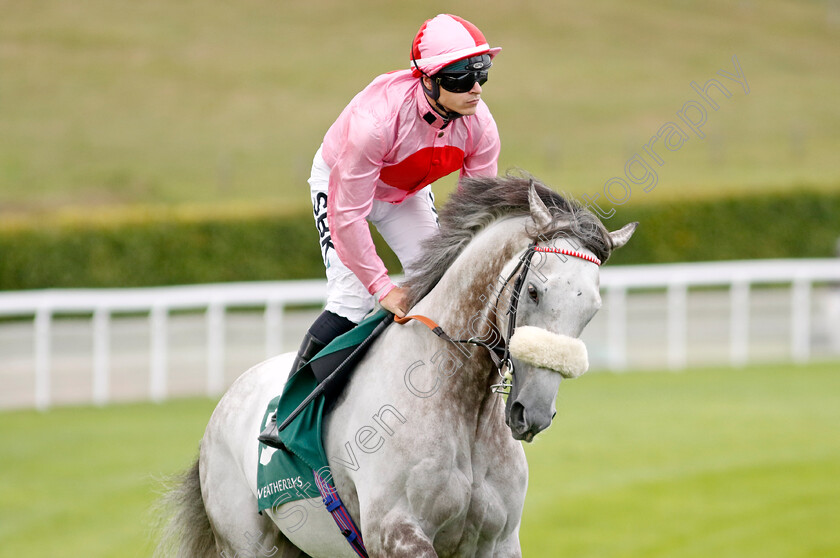 Misty-Grey-0002 
 MISTY GREY (Richard Kingscote)
Goodwood 27 Aug 2022 - Pic Steven Cargill / Racingfotos.com