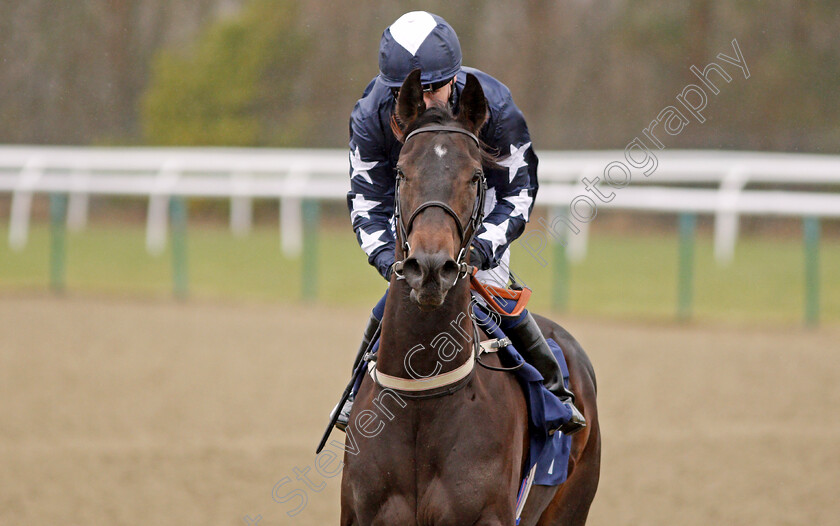 Golden-Footsteps-0001 
 GOLDEN FOOTSTEPS (Oisin Murphy) Lingfield 14 Feb 2018 - Pic Steven Cargill / Racingfotos.com