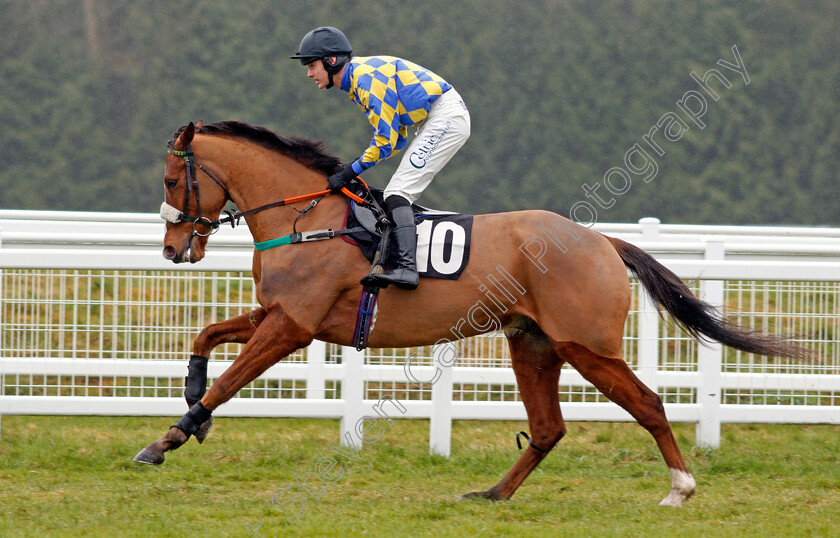 The-Premier-Celtic-0001 
 THE PREMIER CELTIC (Sean Houlihan) Newbury 10 Feb 2018 - Pic Steven Cargill / Racingfotos.com