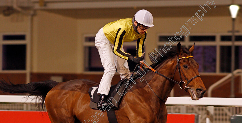 Father-Of-Jazz-0009 
 FATHER OF JAZZ (Callum Shepherd) wins The Racing Welfare Novice Stakes
Chelmsford 14 Jan 2021 - Pic Steven Cargill / Racingfotos.com