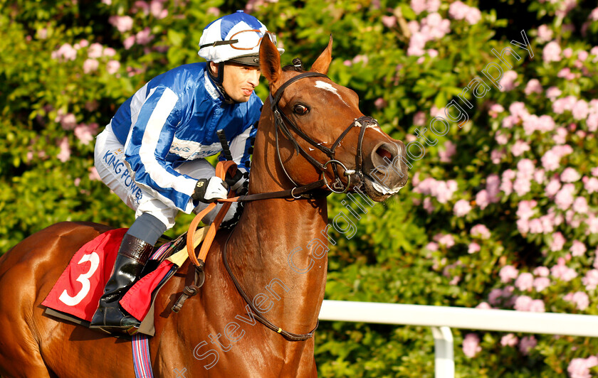 Fox-Premier-0001 
 FOX PREMIER (Silvestre De Sousa) before The Call Star Sports On 08000 521 321 Handicap
Sandown 30 May 2019 - Pic Steven Cargill / Racingfotos.com