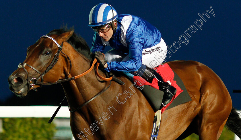 Enjazaat-0004 
 ENJAZAAT (Jim Crowley) wins The ebfstallions.com Conditions Stakes
Kempton 9 Oct 2019 - Pic Steven Cargill / Racingfotos.com