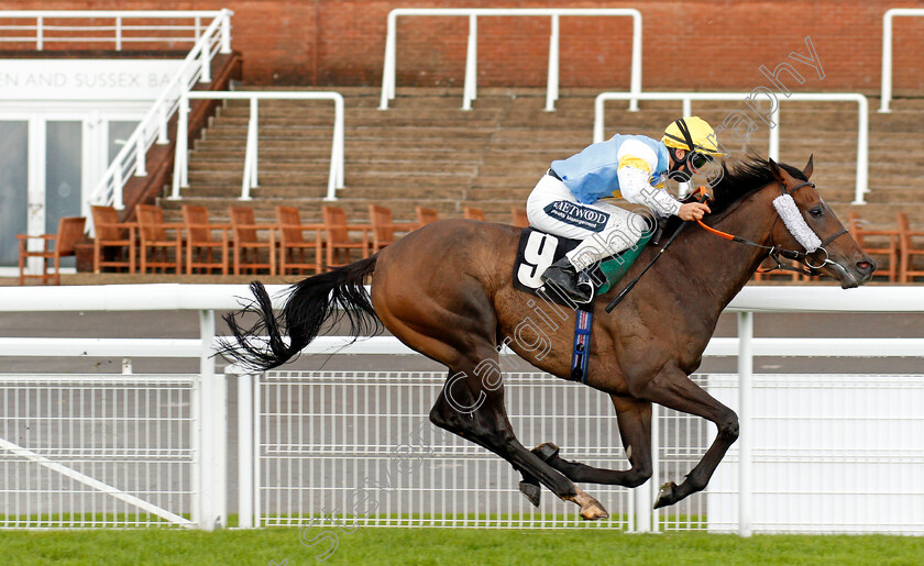 Call-My-Bluff-0005 
 CALL MY BLUFF (Harry Bentley) wins The Ladbrokes Watch Racing Online For Free Handicap
Goodwood 28 Aug 2020 - Pic Steven Cargill / Racingfotos.com