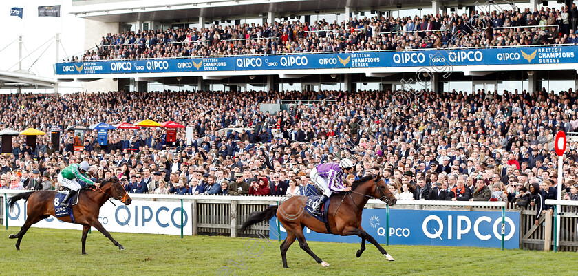 Magna-Grecia-0008 
 MAGNA GRECIA (Donnacha O'Brien) beats KING OF CHANGE (left) in The Qipco 2000 Guineas
Newmarket 4 May 2019 - Pic Steven Cargill / Racingfotos.com