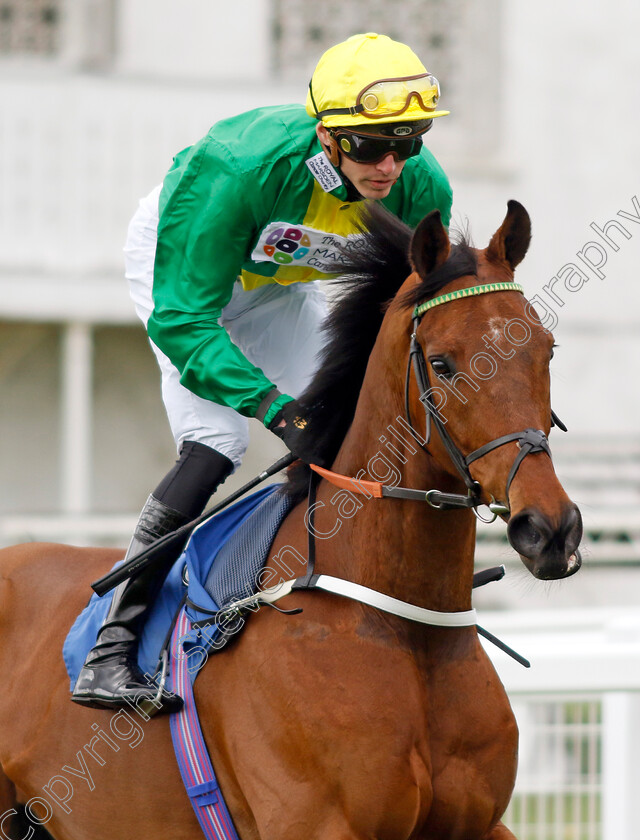 Open-Champion-0001 
 OPEN CHAMPION (James Doyle)
Epsom 25 Apr 2023 - Pic Steven Cargill / Racingfotos.com