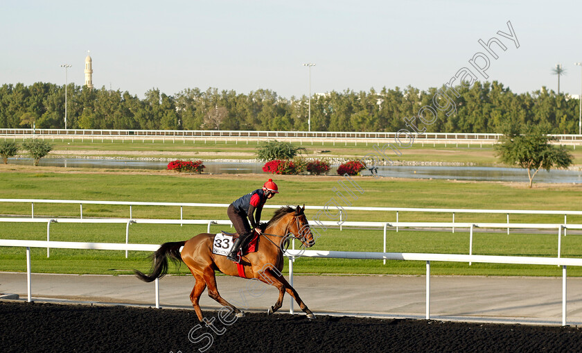 Charging-Thunder-0002 
 CHARGING THUNDER training at the Dubai World Cup Carnival
Meydan 5 Jan 2023 - Pic Steven Cargill / Racingfotos.com