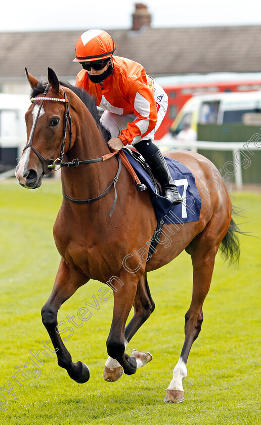 Miss-Chess-0001 
 MISS CHESS (Hollie Doyle)
Yarmouth 15 Jul 2020 - Pic Steven Cargill / Racingfotos.com