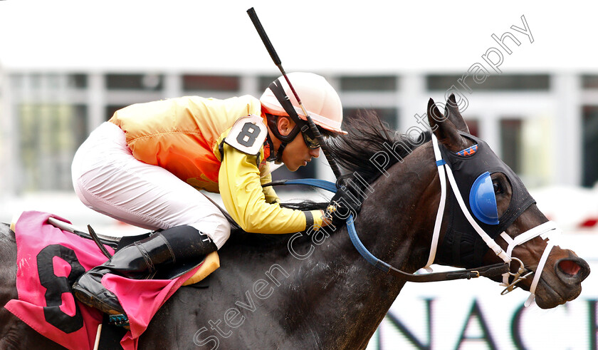 Eifs-0005 
 EIFS (Jevian Toledo) wins Maiden 
Pimlico 17 May 2019 - Pic Steven Cargill / Racingfotos.com