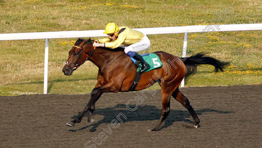 Motawaj-0004 
 MOTAWAJ (David Egan) wins The 32Red Casino Handicap Div1
Kempton 10 Jul 2019 - Pic Steven Cargill / Racingfotos.com