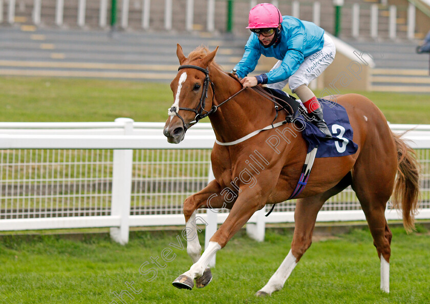 Many-A-Star-0005 
 MANY A STAR (Andrea Atzeni) wins The Seadeer Handicap
Yarmouth 16 Sep 2020 - Pic Steven Cargill / Racingfotos.com