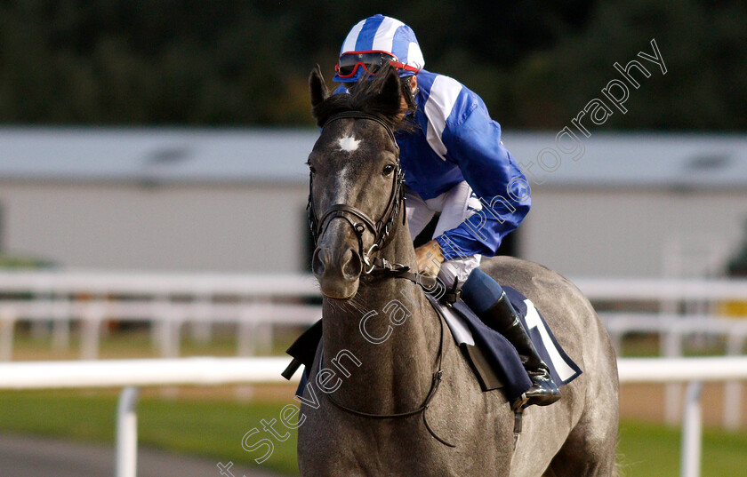 Jahaafel-0002 
 JAHAAFEL (Dane O'Neill) 
Wolverhampton 5 Sep 2018 - Pic Steven Cargill / Racingfotos.com