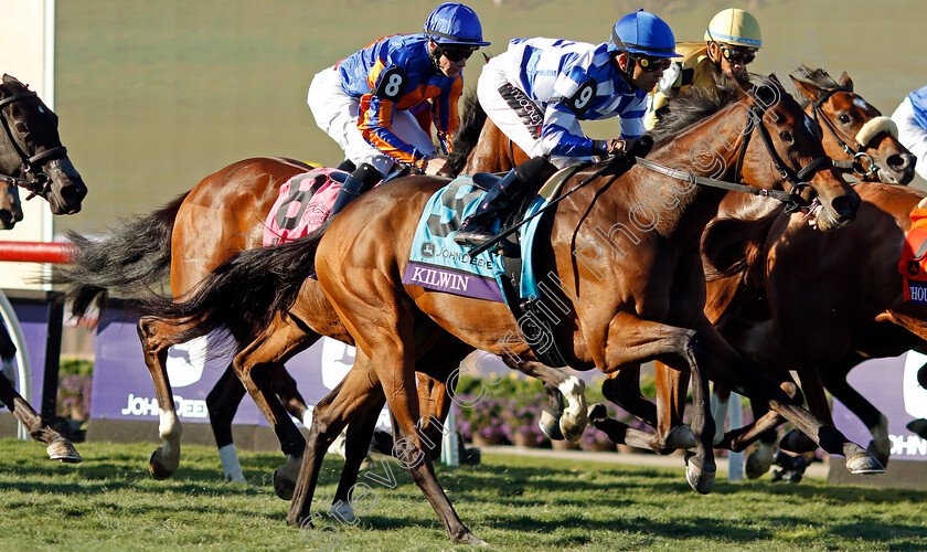 Kilwin-0002 
 KILWIN (Jose Lezcano)
Del Mar 1 Nov 2024 - Pic Steven Cargill / Racingfotos.com