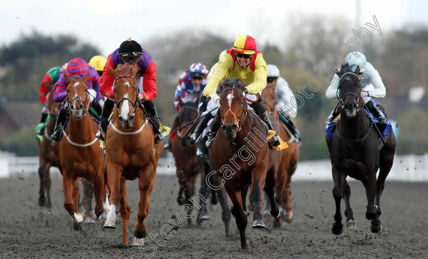 Balata-Bay-0002 
 BALATA BAY (centre, Luke Catton) beats REGULAR (left) in The 32Red Casino Handicap
Kempton 3 Apr 2019 - Pic Steven Cargill / Racingfotos.com