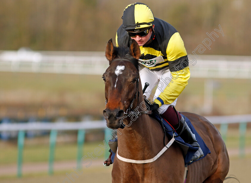 Kintaro-0001 
 KINTARO (Rob Hornby)
Lingfield 20 Jan 2024 - Pic Steven Cargill / Racingfotos.com