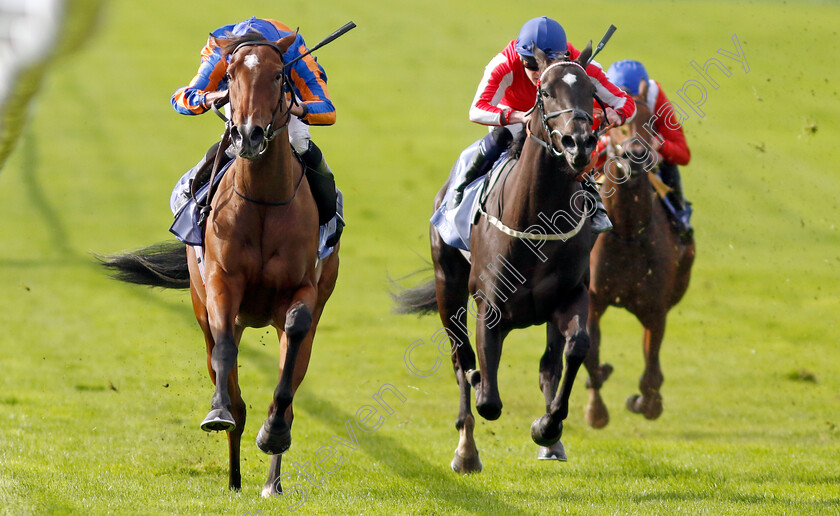 Bubbling-0005 
 BUBBLING (Ryan Moore) wins The Al Basti Equiworld Dubai Rockfel Stakes
Newmarket 27 Sep 2024 - Pic Steven Cargill / Racingfotos.com