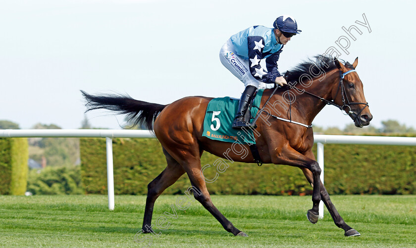 Kitty-Rose-0010 
 KITTY ROSE (Billy Lee) winner of The Ballylinch Stud Irish EBF Ingabelle Stakes
Leopardstown 9 Sep 2023 - Pic Steven Cargill / Racingfotos.com