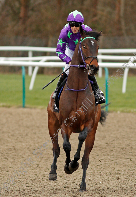 Dalgarno-0001 
 DALGARNO (Ben Curtis)
Lingfield 22 Feb 2020 - Pic Steven Cargill / Racingfotos.com