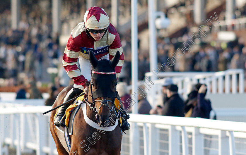 Quantock-Hills-0003 
 QUANTOCK HILLS (James Bowen) winner of The JCB Triumph Trial Juvenile Hurdle 
Cheltenham 14 Dec 2024 - Pic Steven Cargill / Racingfotos.com